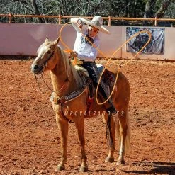 Guadalajara Western Wear Accessories Soga Para Florear (Anarajada)