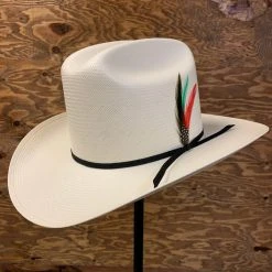 Guadalajara Western Wear Cuernos Chuecos 100x Durango (Copa Alta)