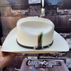 Guadalajara Western Wear Men 10,000x Falda/brim 3.5