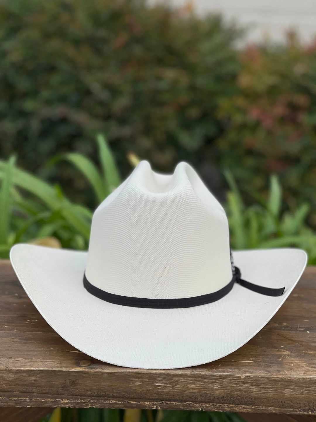 Guadalajara Western Wear Tombstone 1000x Diamante Negro (Copa Chica) 4 Guadalajara Western Wear Tombstone 1000x Diamante Negro (Copa Chica)