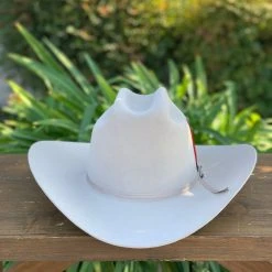 Stetson 6x Rancher Silverbelly Cowboy Felt Hat (Copa Alta Falda/Brim 4") Men