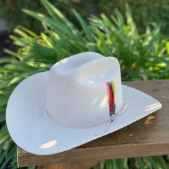 Stetson 6x Rancher Silverbelly Cowboy Felt Hat (Copa Alta Falda/Brim 4
