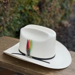 Guadalajara Western Wear Cuernos Chuecos 100x Durango (Copa Alta)