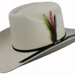Guadalajara Western Wear Tombstone 100x Chaparral (Copa Chica) Sinaloa Style Cowboy Hat