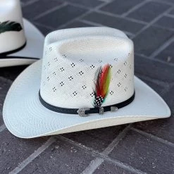 Guadalajara Western Wear Tombstone 30x El Viejon Flower Crown (Copa Alta) Cowboy Straw Hat Men