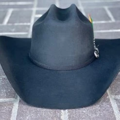 Guadalajara Western Wear Men Tombstone 20x Roper Black/Negro