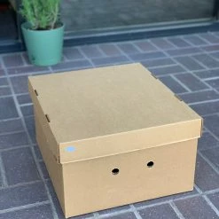 Guadalajara Western Wear Hat Box (fits One Hat) Boot & Hat Care