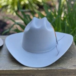 Stetson 6x Spartan Mist Grey Cowboy Felt Hat Sinaloa (Copa Chica Falda/Brim 3.5") Men