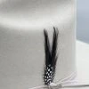 Guadalajara Western Wear Original Stetson Feather (Black/Negro)(Pack Of 2) Patches / Feathers / Plumas