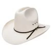 Guadalajara Western Wear Men Resistol Quarter Horse 10x Straw Cowboy Hat