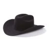 Guadalajara Western Wear Stetson El Presidente 100X Premier Cowboy Felt Hat