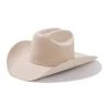 Guadalajara Western Wear Men Stetson 10x Shasta Silverbelly Premier Felt Cowboy Hat