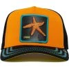 Guadalajara Western Wear Baby I'm A Star- Orange