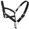 Guadalajara Western Wear Amartigón Negro / Black Halter