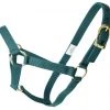Guadalajara Western Wear Horse Gear / Accesorios Para Caballo Amartigón Verde / Green Halter
